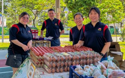 Serving the Community Together: Reachfield’s Volunteer Experience